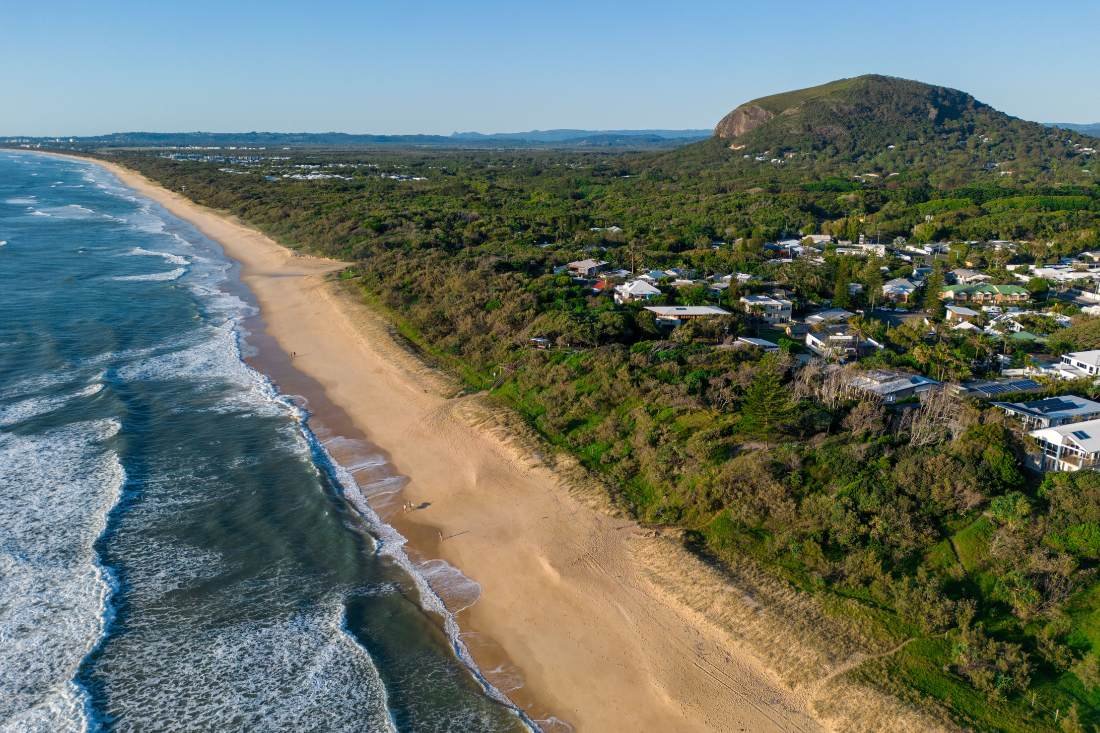 Blog 1100x733 Tree Change 2024