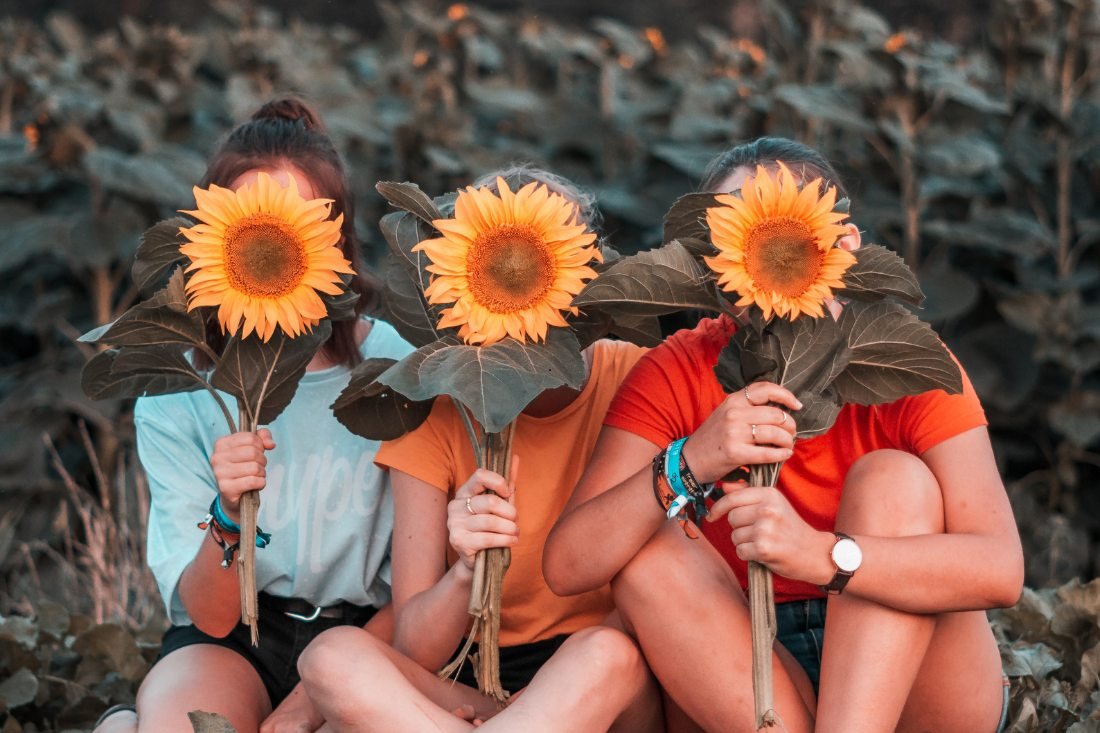 Blog 1100x733 third cut 2025