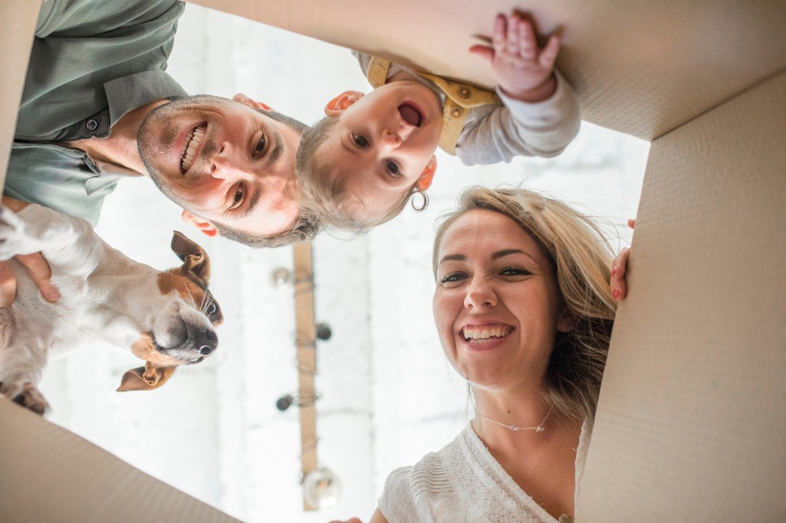 Blog 1100x733 in by xmas 2025