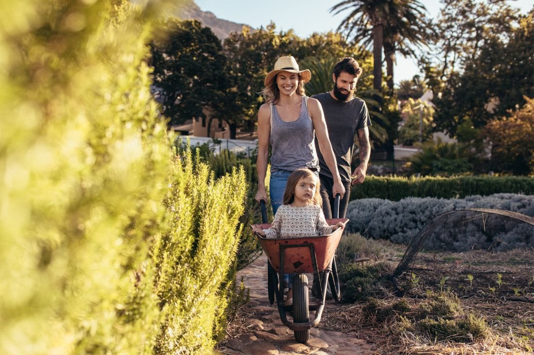 Blog 1100x733 treechange